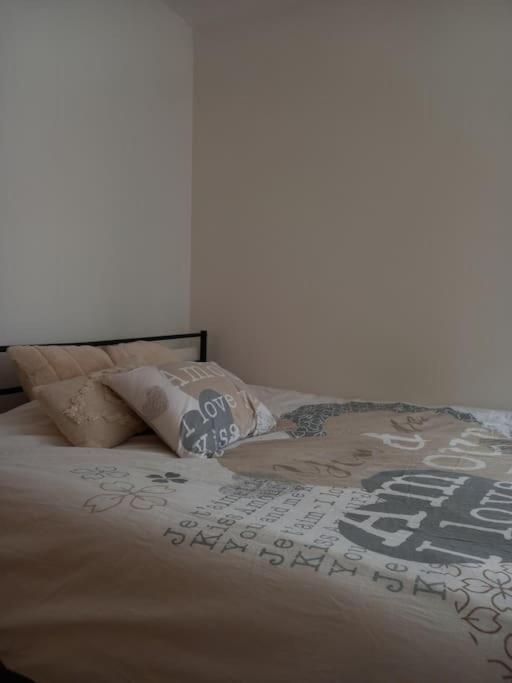 Le Doubs Cosy Apartment Besancon Ngoại thất bức ảnh
