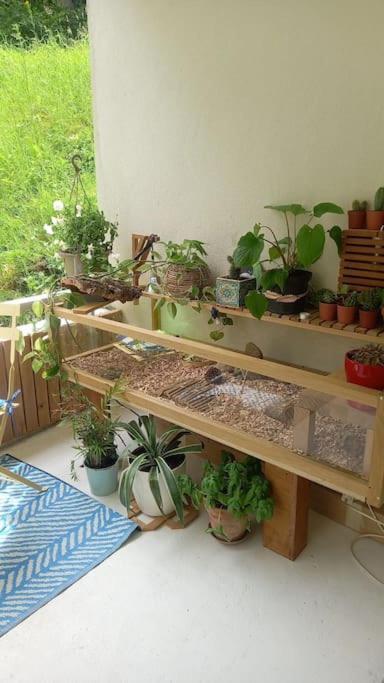 Le Doubs Cosy Apartment Besancon Ngoại thất bức ảnh