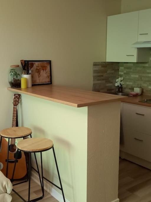 Le Doubs Cosy Apartment Besancon Ngoại thất bức ảnh