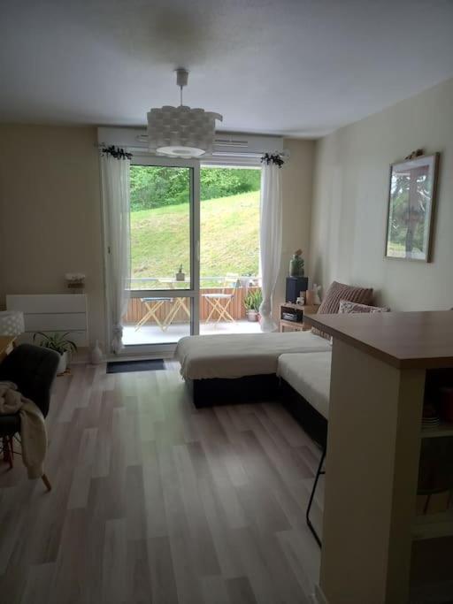 Le Doubs Cosy Apartment Besancon Ngoại thất bức ảnh