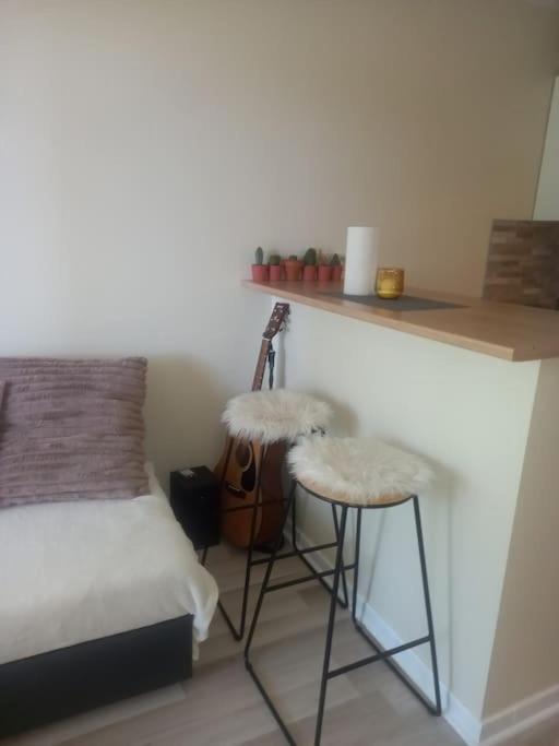 Le Doubs Cosy Apartment Besancon Ngoại thất bức ảnh